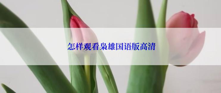  怎样观看枭雄国语版高清
