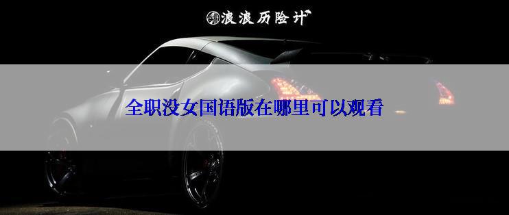 全职没女国语版在哪里可以观看