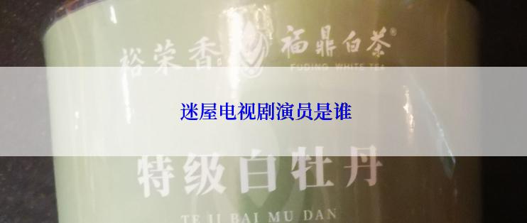  迷屋电视剧演员是谁