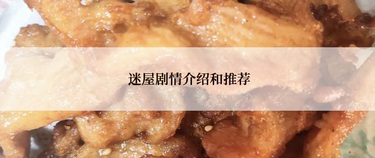  迷屋剧情介绍和推荐