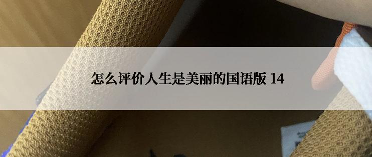  怎么评价人生是美丽的国语版 14