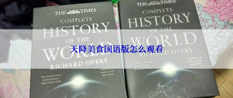 天降美食国语版怎么观看