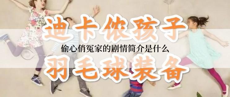 偷心俏冤家的剧情简介是什么