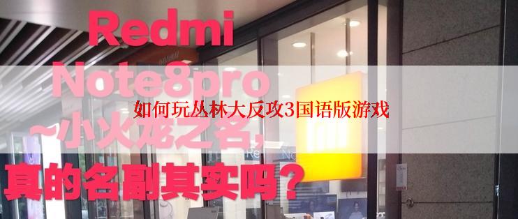  如何玩丛林大反攻3国语版游戏