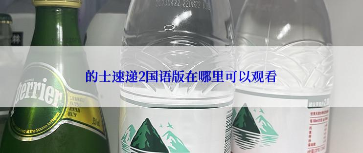 的士速递2国语版在哪里可以观看