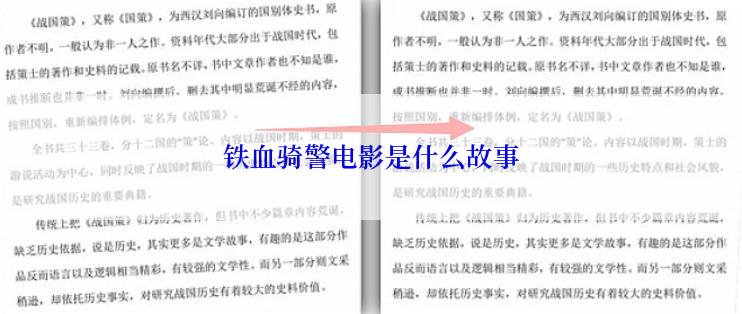 铁血骑警电影是什么故事