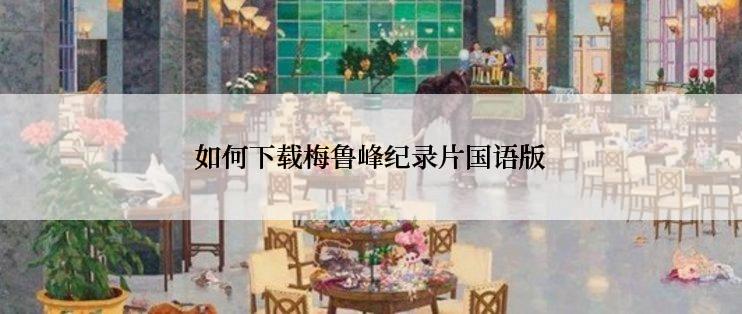 如何下载梅鲁峰纪录片国语版