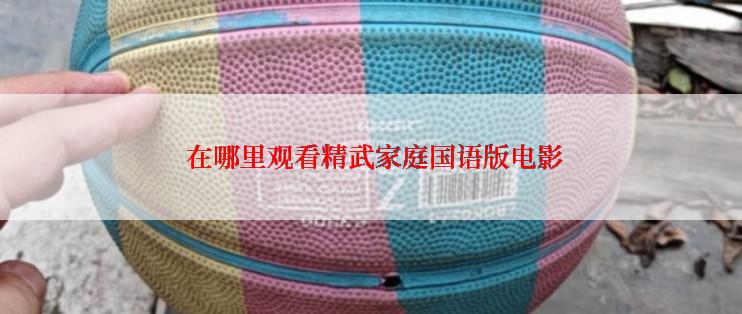  在哪里观看精武家庭国语版电影