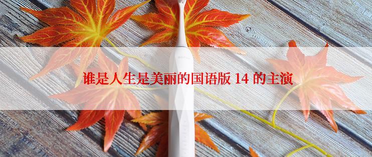  谁是人生是美丽的国语版 14 的主演