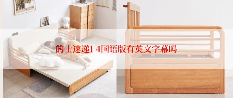 的士速递1 4国语版有英文字幕吗