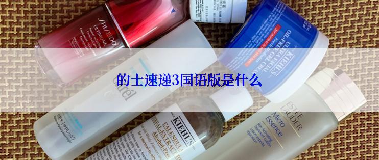 的士速递3国语版是什么
