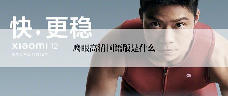 鹰眼高清国语版是什么