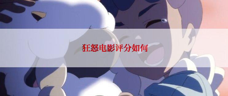  狂怒电影评分如何