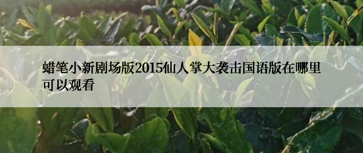 蜡笔小新剧场版2015仙人掌大袭击国语版在哪里可以观看