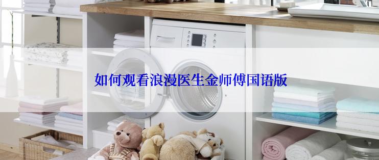  如何观看浪漫医生金师傅国语版