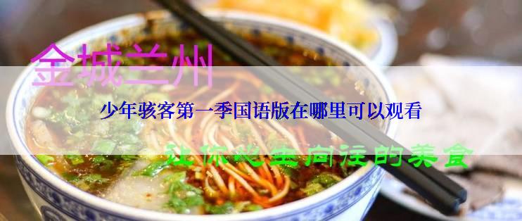 少年骇客第一季国语版在哪里可以观看