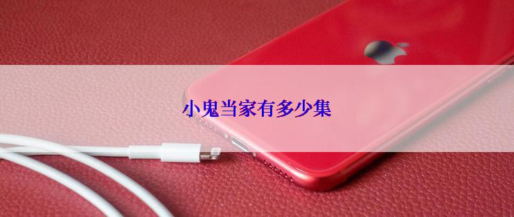 小鬼当家有多少集
