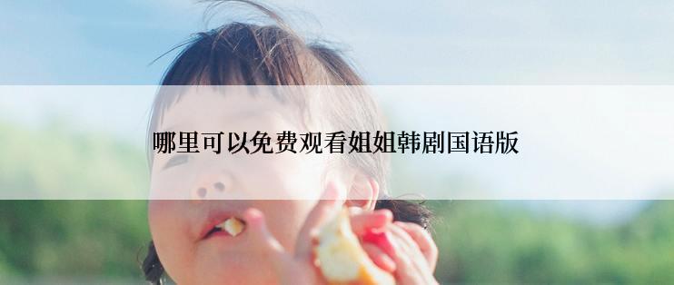 哪里可以免费观看姐姐韩剧国语版