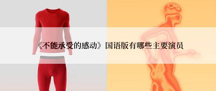  《不能承受的感动》国语版有哪些主要演员