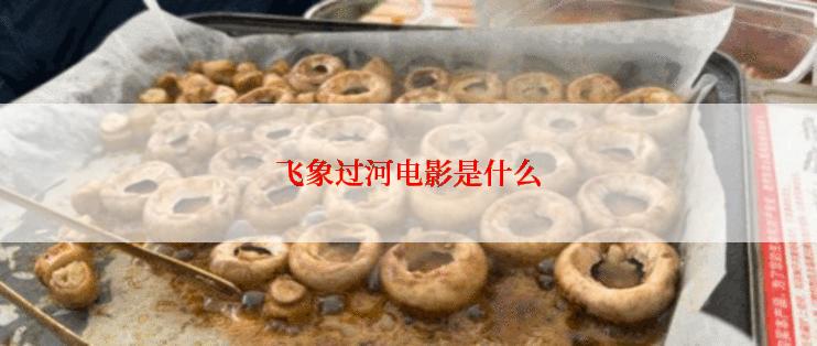 飞象过河电影是什么