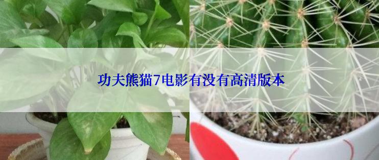 功夫熊猫7电影有没有高清版本