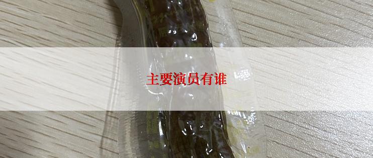 主要演员有谁