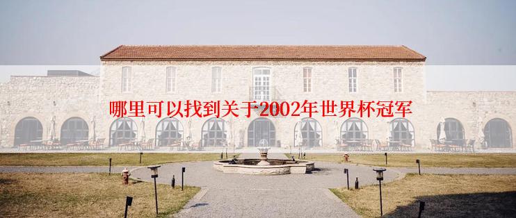  哪里可以找到关于2002年世界杯冠军