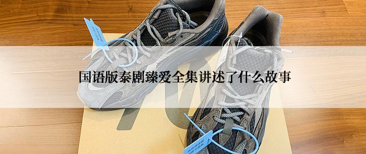  国语版泰剧臻爱全集讲述了什么故事