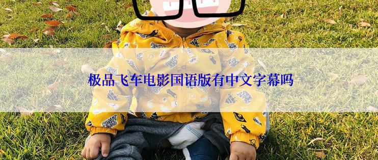  极品飞车电影国语版有中文字幕吗