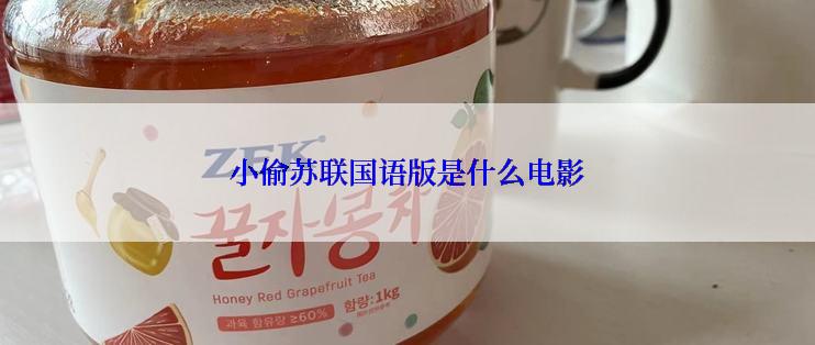 小偷苏联国语版是什么电影