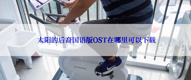 太阳的后裔国语版OST在哪里可以下载