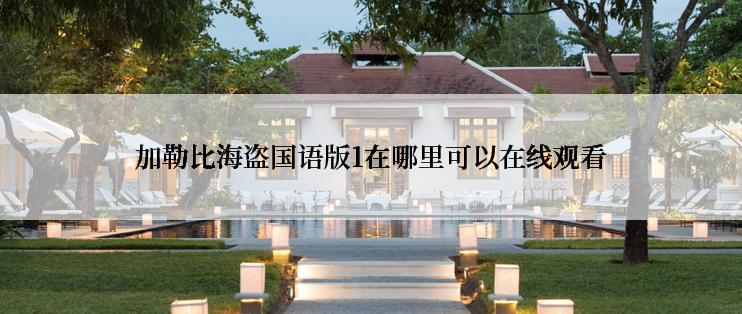 加勒比海盗国语版1在哪里可以在线观看