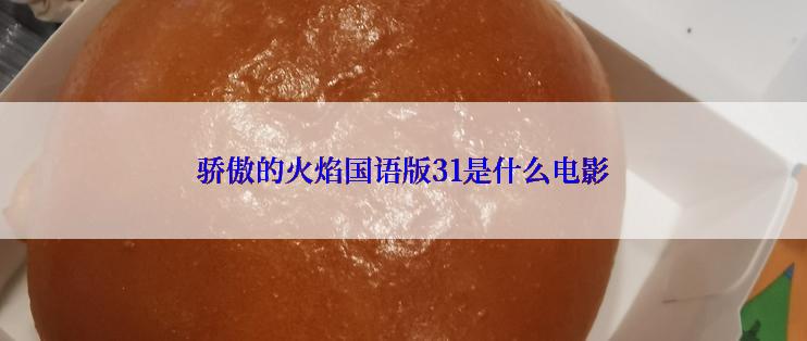骄傲的火焰国语版31是什么电影