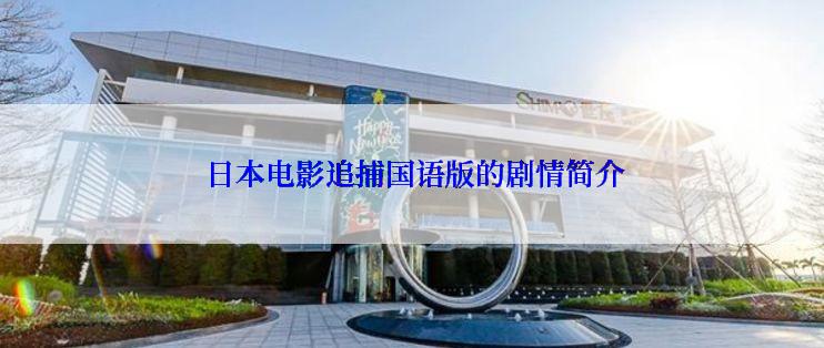  日本电影追捕国语版的剧情简介