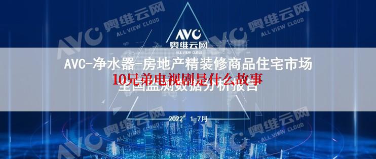 10兄弟电视剧是什么故事
