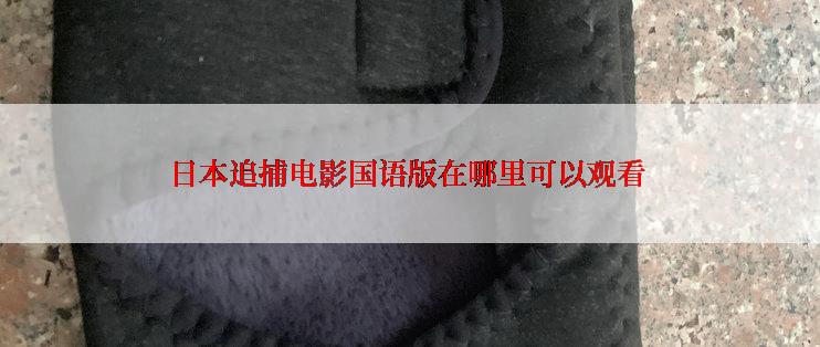日本追捕电影国语版在哪里可以观看