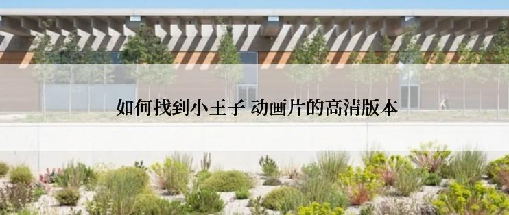 如何找到小王子 动画片的高清版本
