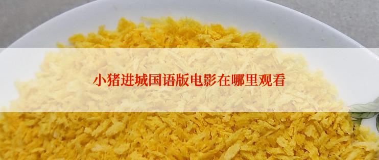 小猪进城国语版电影在哪里观看
