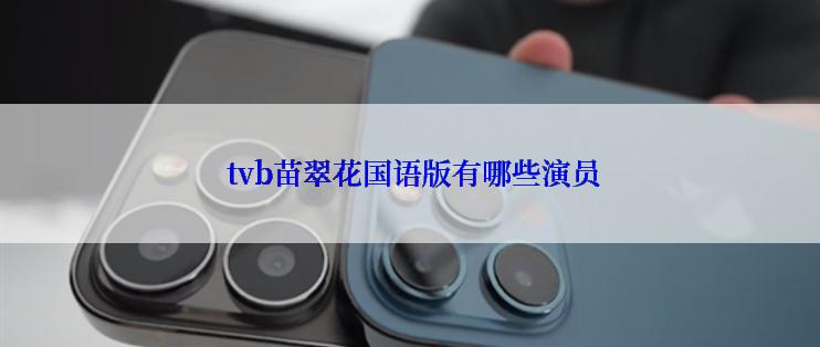  tvb苗翠花国语版有哪些演员