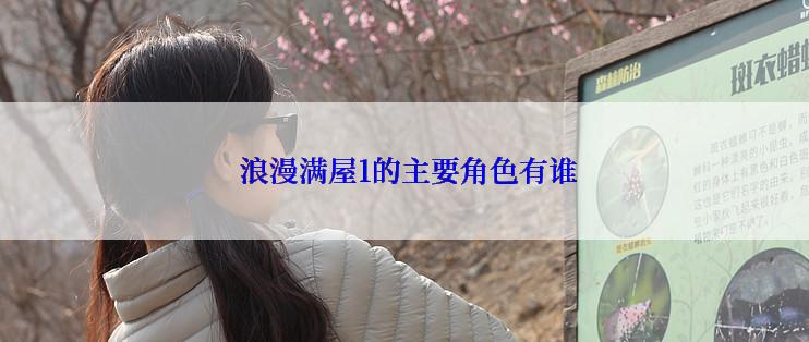  浪漫满屋1的主要角色有谁