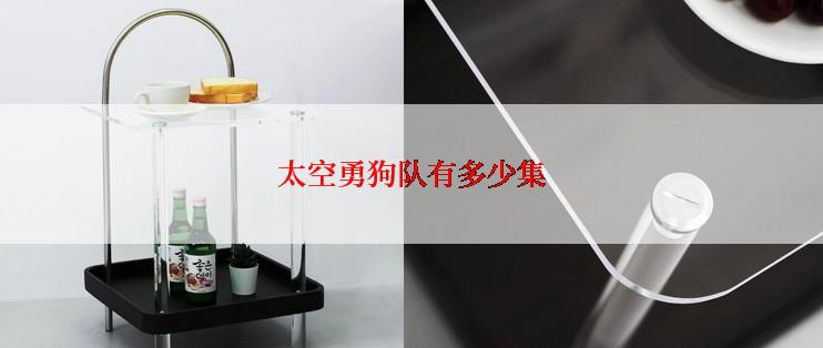 太空勇狗队有多少集
