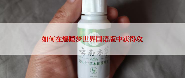 如何在爆睡梦世界国语版中获得攻