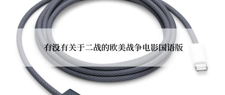  有没有关于二战的欧美战争电影国语版