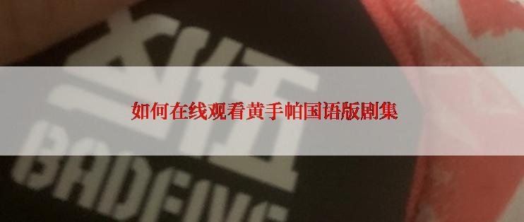  如何在线观看黄手帕国语版剧集