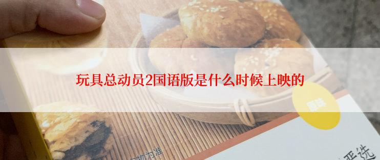 玩具总动员2国语版是什么时候上映的