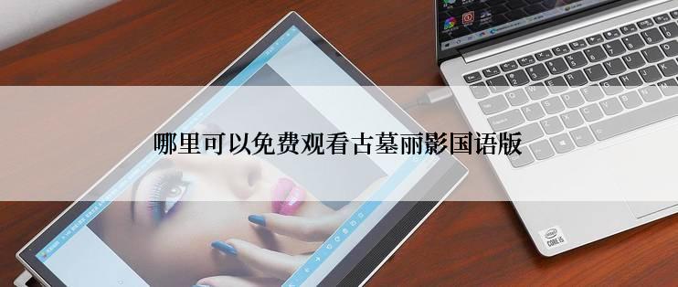 哪里可以免费观看古墓丽影国语版