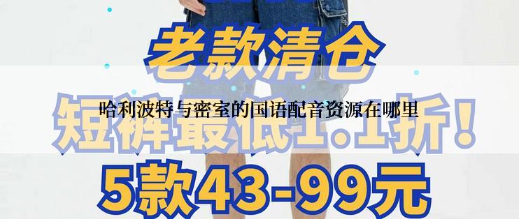 哈利波特与密室的国语配音资源在哪里