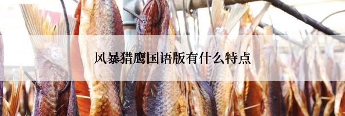 风暴猎鹰国语版有什么特点