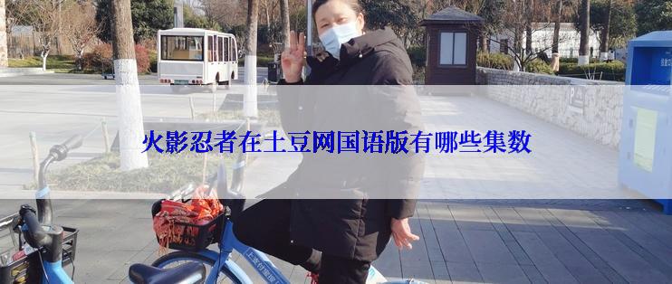 火影忍者在土豆网国语版有哪些集数