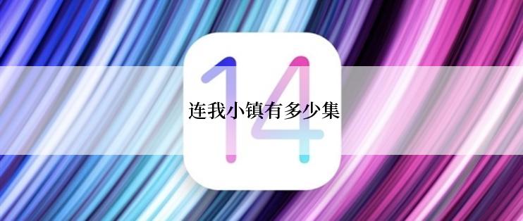  连我小镇有多少集